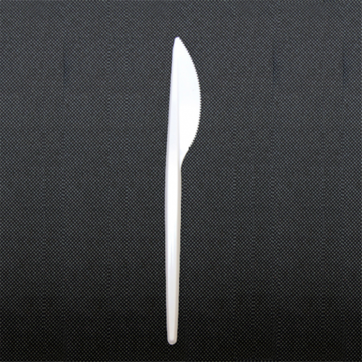 Cuillère à dessert plastique jetable - GARCIA DE POU - 12.5cm