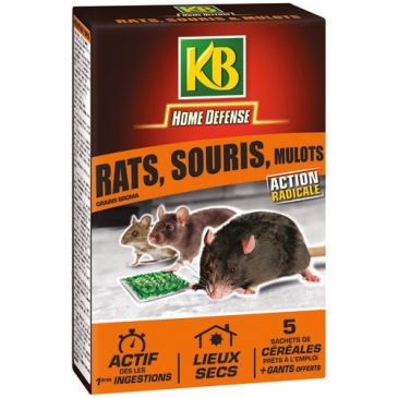 Céréales rat souris mulot - Home défense - 5x25g - KB - Droguerie