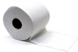 PAPIER TOILETTE 2 PLIS PURE OUATE - 96 ROULEAUX