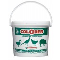 Résine de colophane - COLODER - 3.5kg