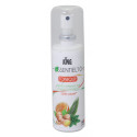 Brume d'ambiance aux 10 huiles essentielles - 75ml - KING