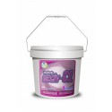 Additif agent blanchissant ACTIV-CL - THOMILMATIC - 10kG